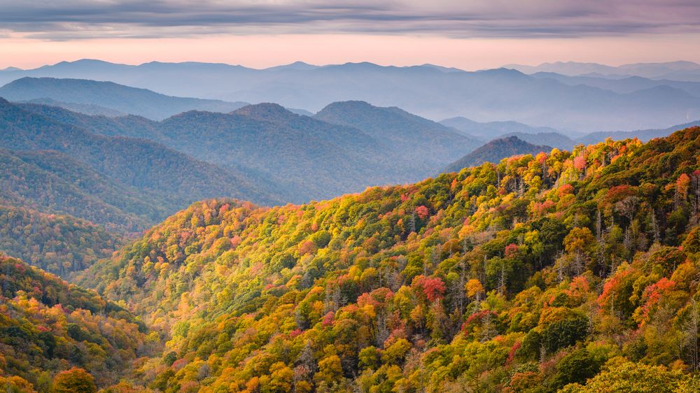 Nejnavštěvovanějším americkým parkem byl i loni Great Smoky Mountains